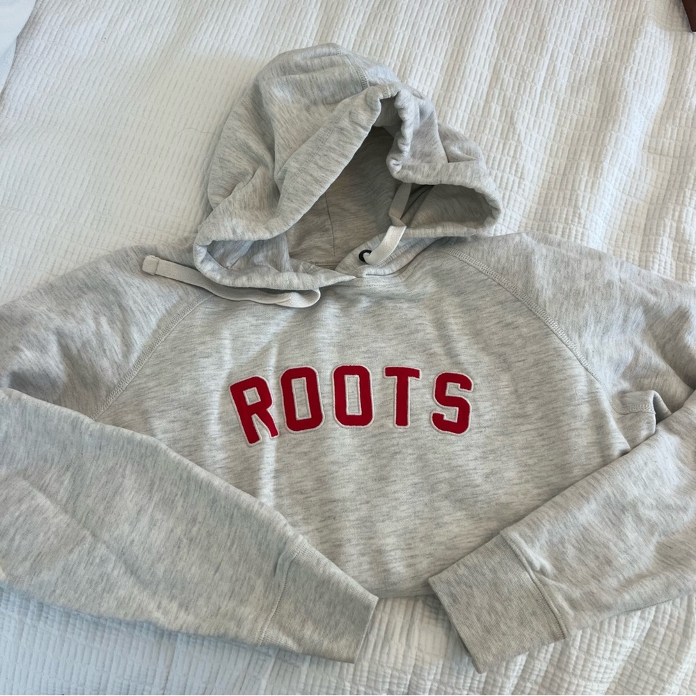 Roots Light Gray Hoodie Small